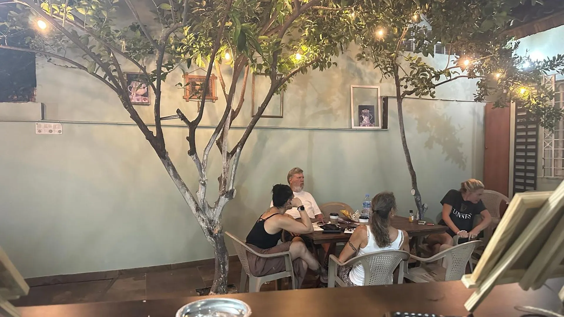 Tirana Lemon Breeze Hostel Albanien